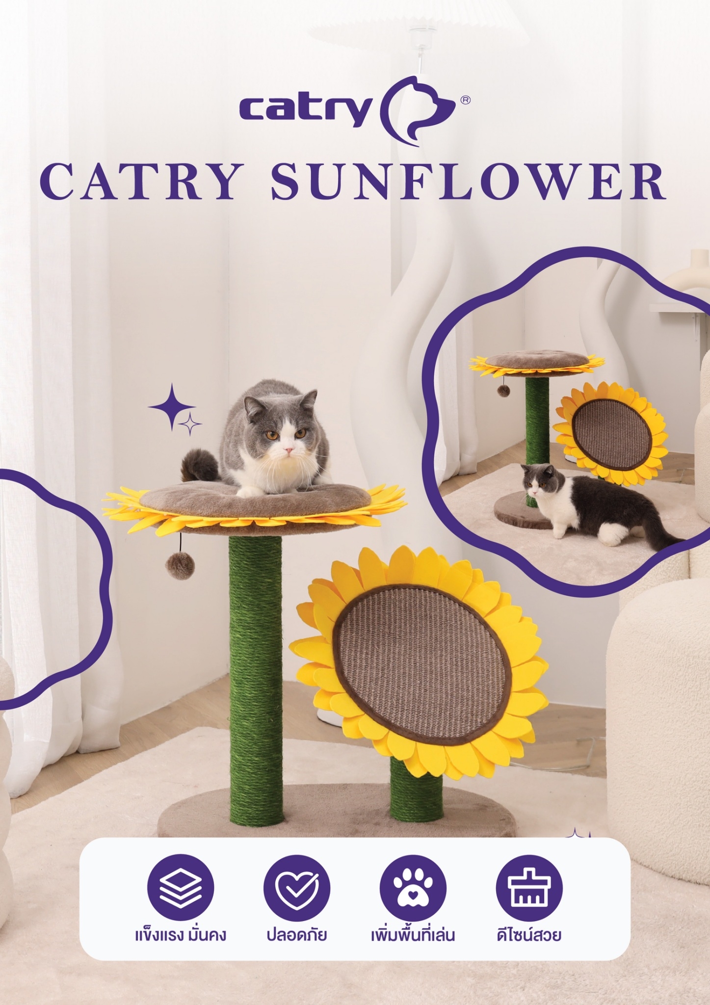 Catry Sunflower คอนโดแมวและที่ลับเล็บ